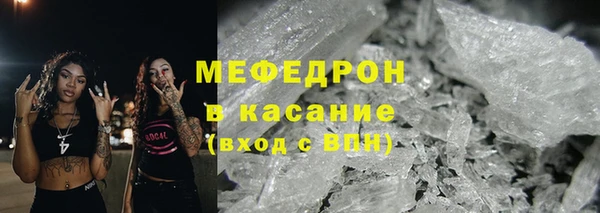 индика Володарск
