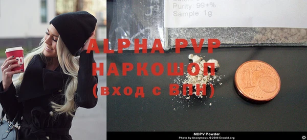 индика Володарск