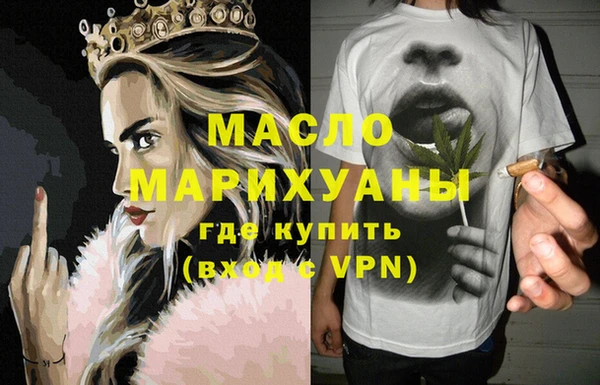 индика Володарск