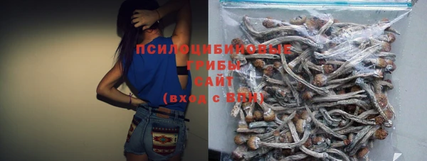 хмурый Бронницы