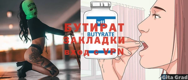 индика Володарск