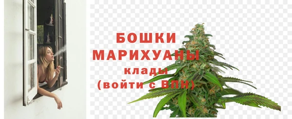 индика Володарск