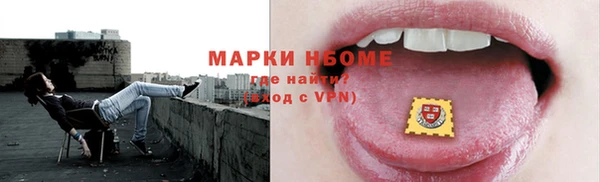 индика Володарск