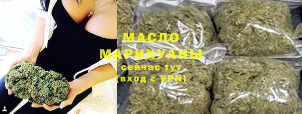индика Володарск