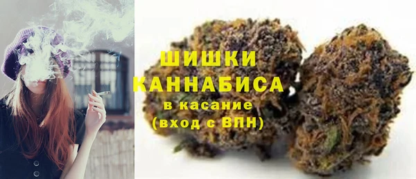 индика Володарск